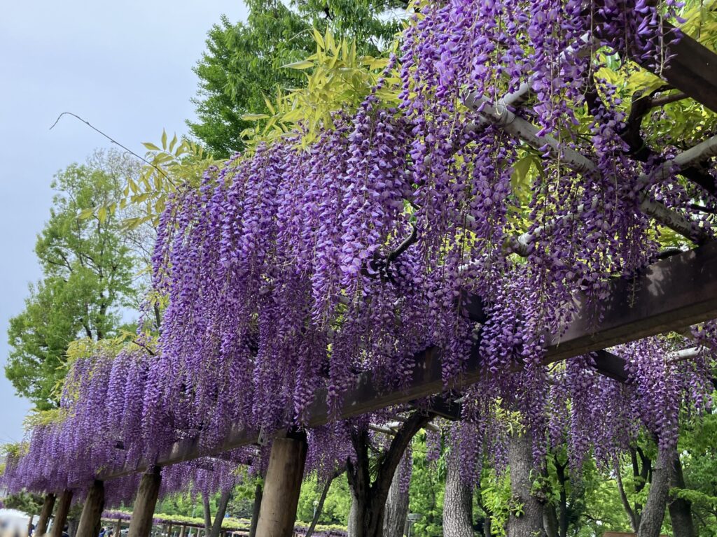 名城公園